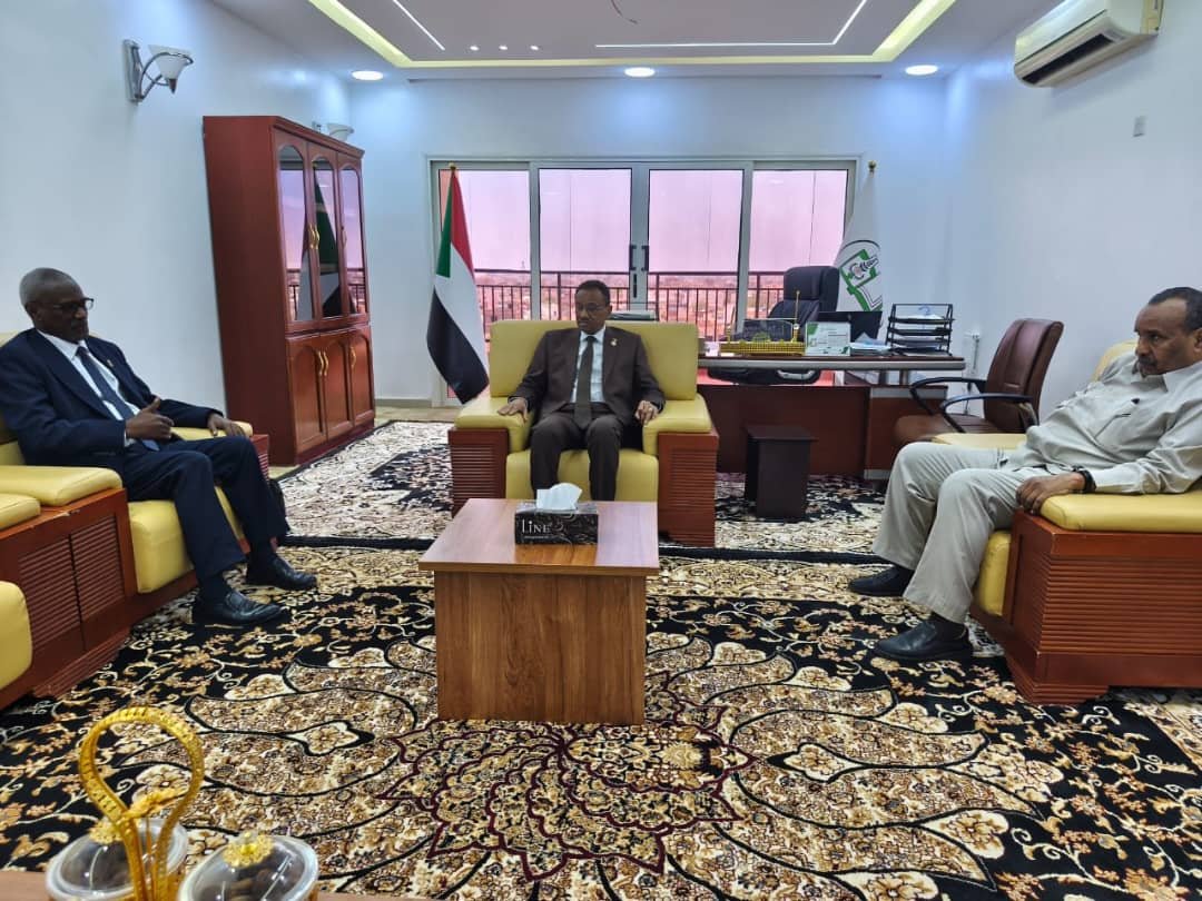 غلاف المقال
