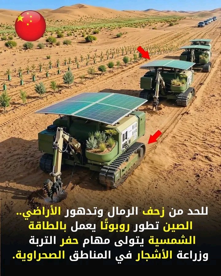 غلاف المقال