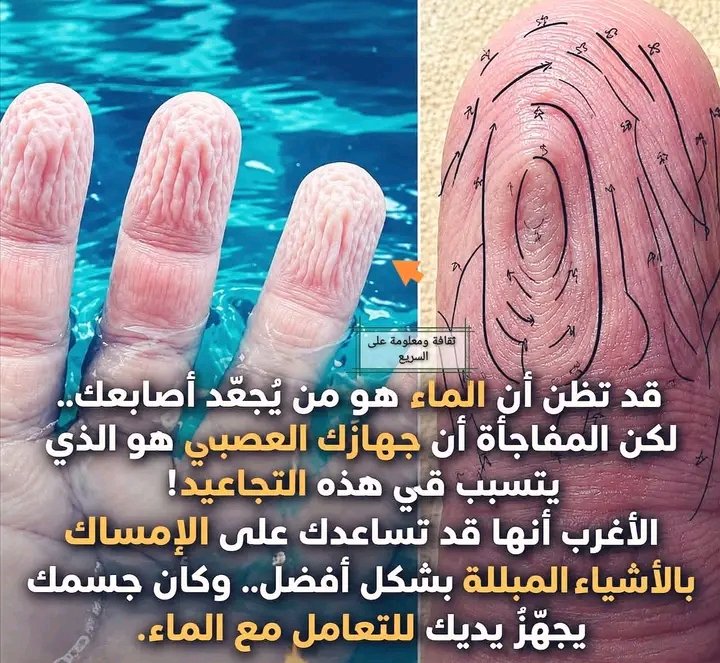 غلاف المقال