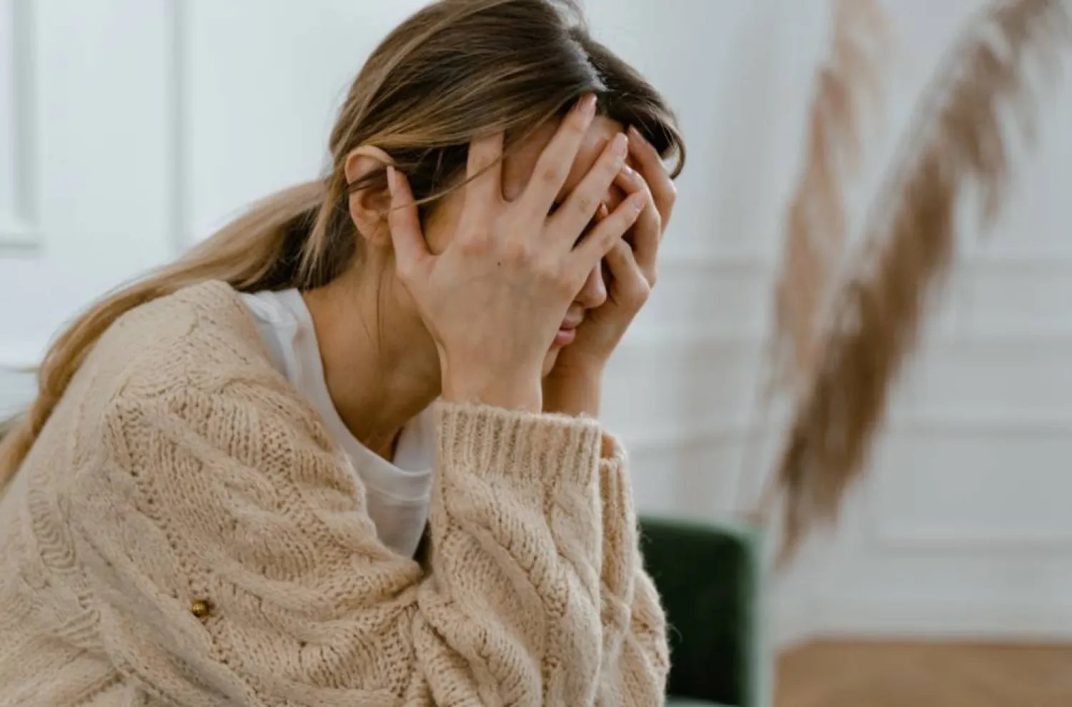 غلاف المقال
