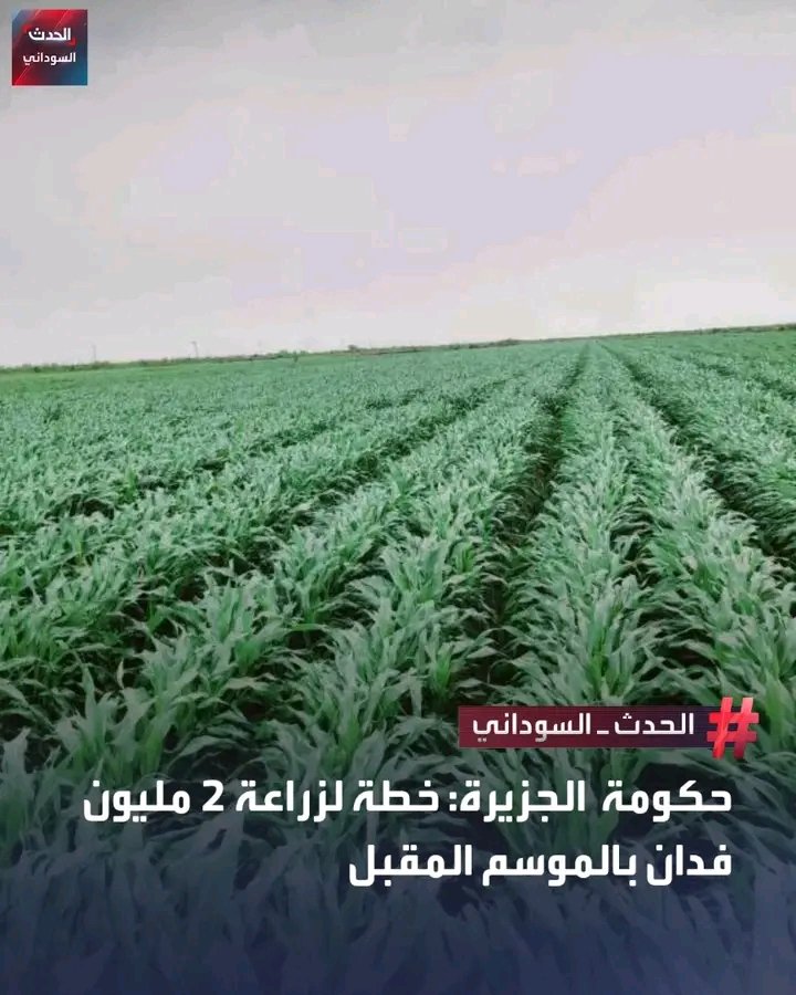 غلاف المقال