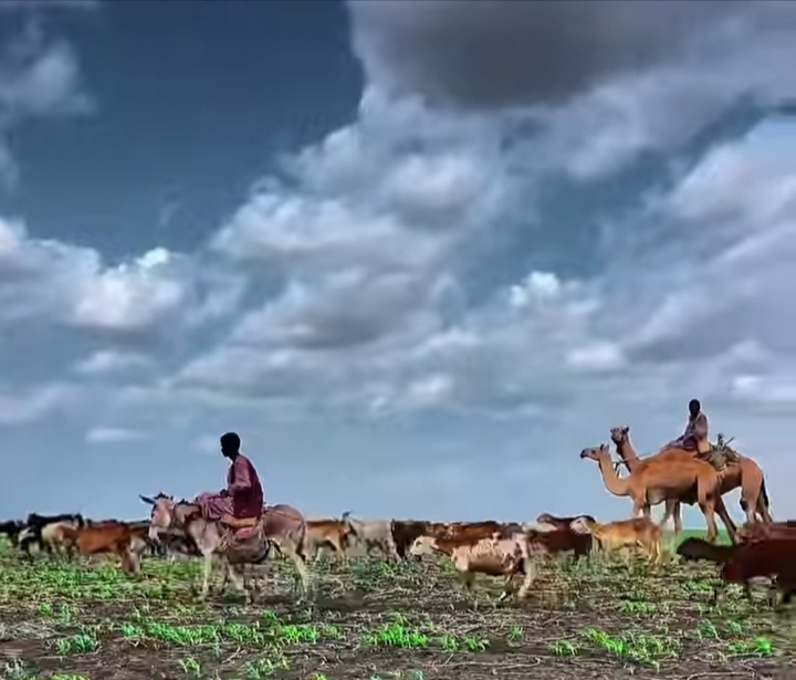 خبر رئيسي